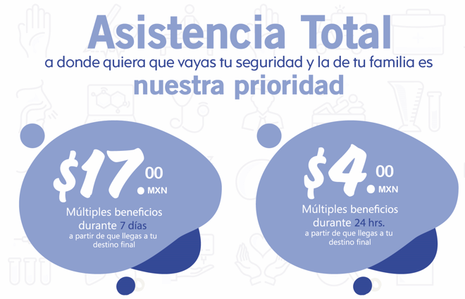 Captura de pantalla 2024-08-02 104619.png